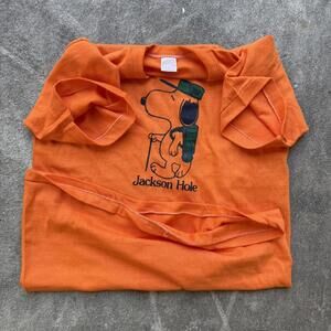Orange vintage 70s Snoopy Peanuts graphic